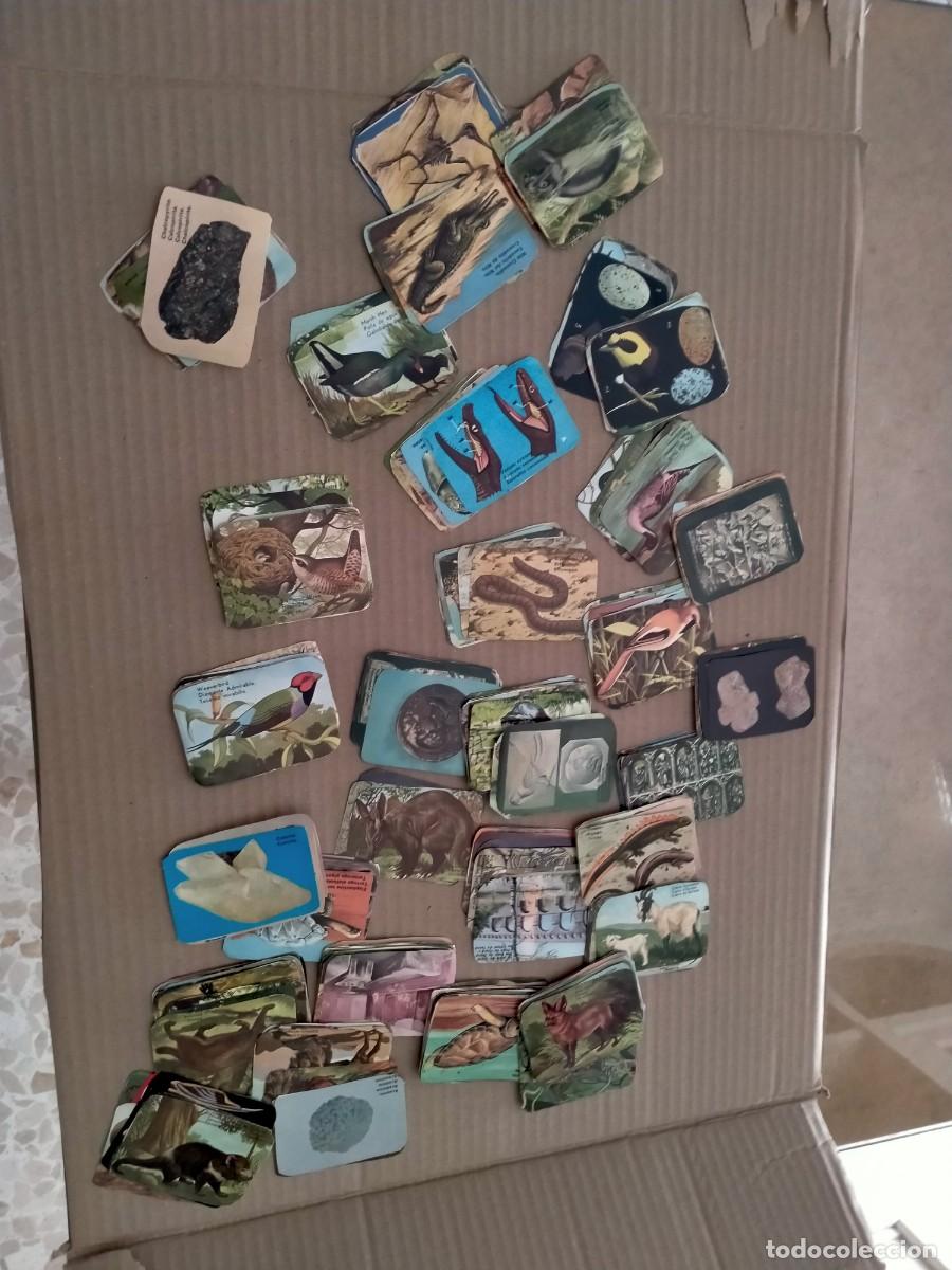 Coleccionismo cromos antiguos: cromos de animales antiguos- - Foto 1
