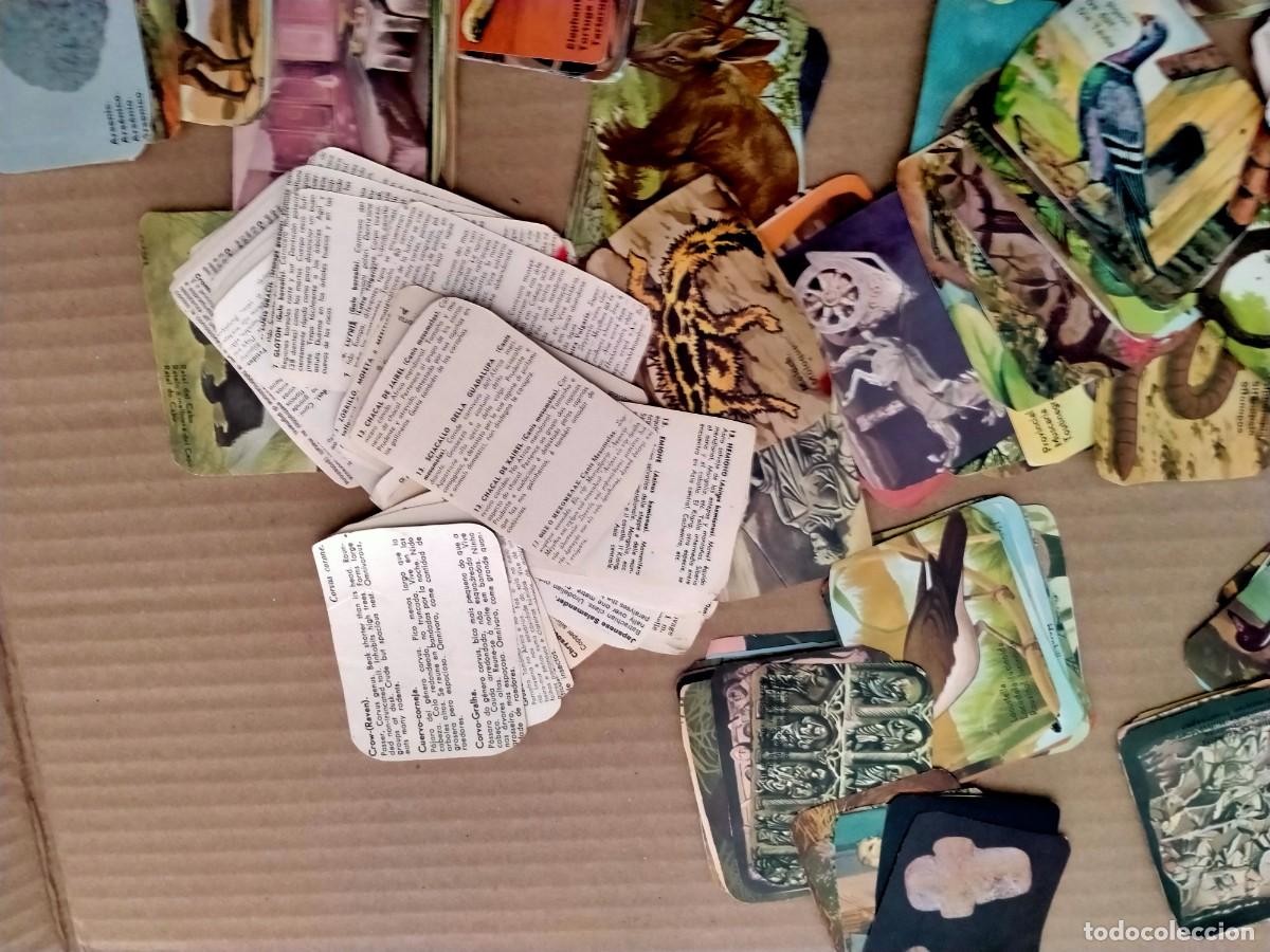 Coleccionismo cromos antiguos: cromos de animales antiguos- - Foto 2
