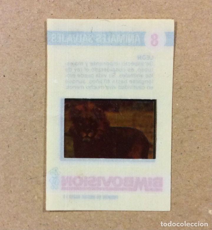 Coleccionismo cromos antiguos: LE&Oacute;N. CROMO N&deg; 8 COLECCI&Oacute;N BILBOVISION. - Foto 2