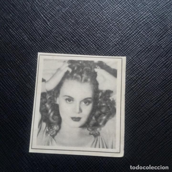 Colecionismo Cromos antigos: MARIE WILSON ENCICLOPEDIA CHICOS ESPA&Ntilde;OLES ARTISTAS DE LA PANTALLA CROMO - SIN PEGAR - A12 PG19