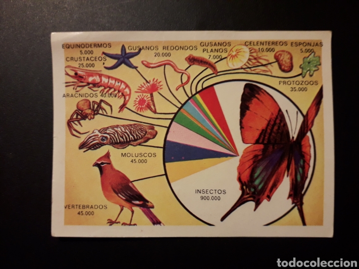 Collectable Antique Stickers: GR&Aacute;FICO DEL REINO ANIMAL PANORAMA ZOOL&Oacute;GICO. RUIZ ROMERO 1973 N&deg; 44 DESPEGADO PEDIDO M&Iacute;NIMO 3&euro;