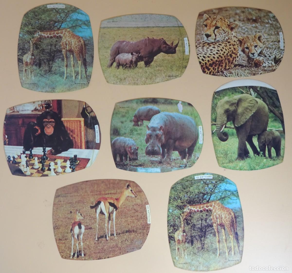 Colecionismo Cromos antigos: LOTE DE 8 CROMOS DE LA VACA QUE R&Iacute;E , LA VACHE QUI RIT, FRANCIA, LES AMIS DE DAKTARI, 1973
