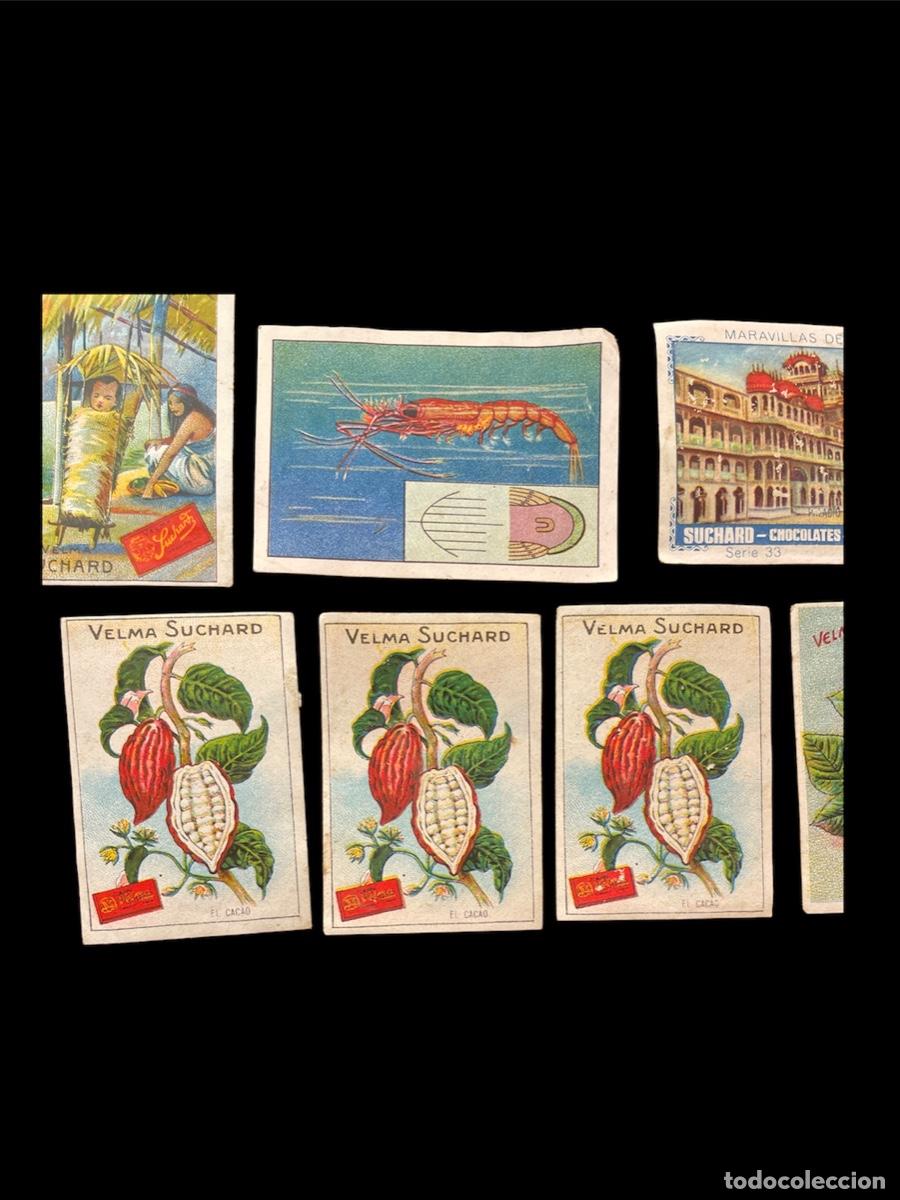 Coleccionismo cromos antiguos: Lote 23 Cromos Suchard - Foto 3