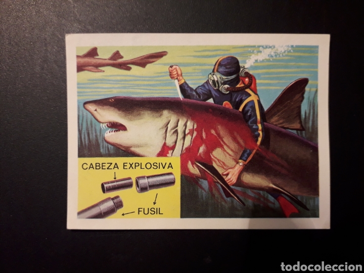 Coleccionismo Cromos antiguos: SAFARI TIBUR&Oacute;N NODRIZA PANORAMA ZOOL&Oacute;GICO. RUIZ ROMERO 1973 N&deg; 101 DESPEGADO PEDIDO M&Iacute;NIMO 3&euro;.