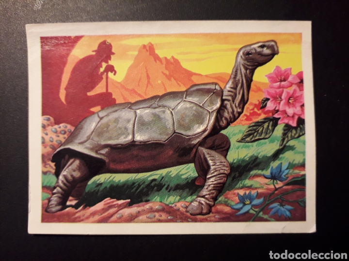 Coleccionismo Cromos antiguos: GIGANTE DE LAS GAL&Aacute;PAGOS PANORAMA ZOOL&Oacute;GICO. RUIZ ROMERO 1973 N&deg; 153 DESPEGADO PEDIDO M&Iacute;NIMO 3&euro;