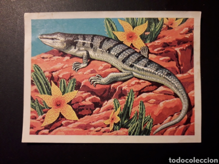 Coleccionismo Cromos antiguos: ESCINDO DE LAS FARMACIAS PANORAMA ZOOL&Oacute;GICO. RUIZ ROMERO 1973 N&deg; 156 DESPEGADO PEDIDO M&Iacute;NIMO 3&euro;