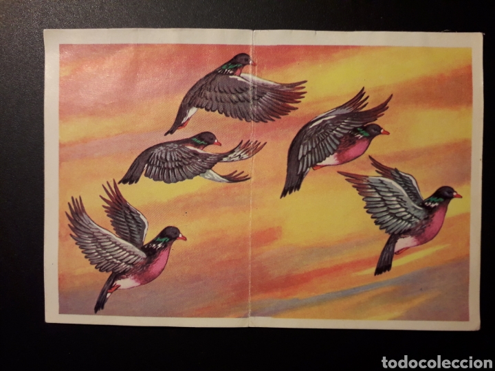 Collectionnisme Cartes &agrave; collectionner anciennes: EL VUELO DE LAS AVES PANORAMA ZOOL&Oacute;GICO. RUIZ ROMERO 1973 N&deg; 186 Y 187 DESPEGADO PEDIDO M&Iacute;NIMO 3&euro;