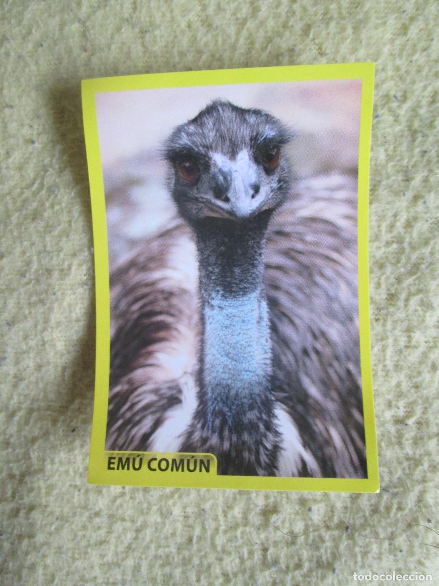 Coleccionismo cromos antiguos: AMICI CUCCIOLOTTI PANINI A&Ntilde;O 2015 NUM 125 EMU COMUN - Foto 1