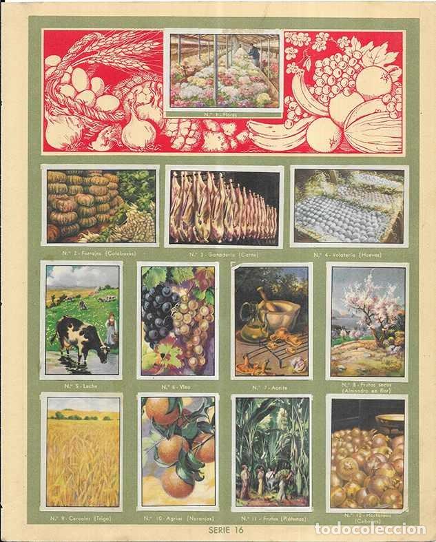 Coleccionismo Cromos antiguos: Cromo.Frutos de Espa&ntilde;a. serie n&ordm; 16 Completa Gallina Blanca 3&ordf; edicion 12 cromos