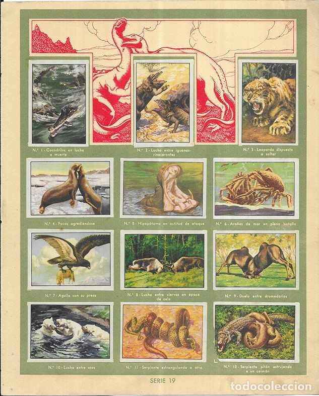 Coleccionismo Cromos antiguos: Cromo.Lucha en el Reino Animal. serie n&ordm; 19 Completa Gallina Blanca 3&ordf; edicion 12 cromos