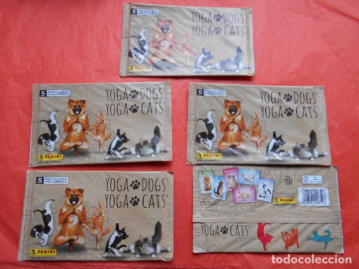 Collezionismo Figurine antiche: 5 sobres con 25 photocards yoga dogs yoga cats