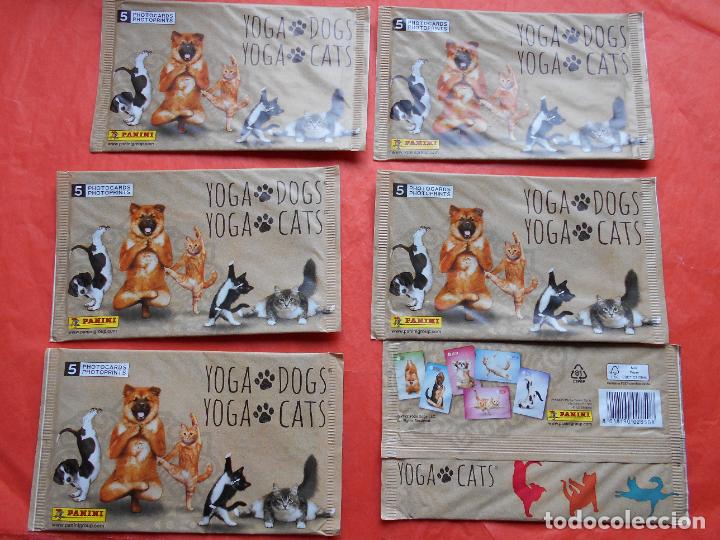 Collezionismo Figurine antiche: 6 sobres con 30 photocards yoga dogs yoga cats