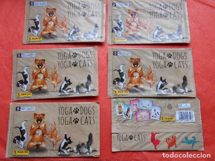 Coleccionismo cromos antiguos: 6 sobres con 30 photocards yoga dogs yoga cats