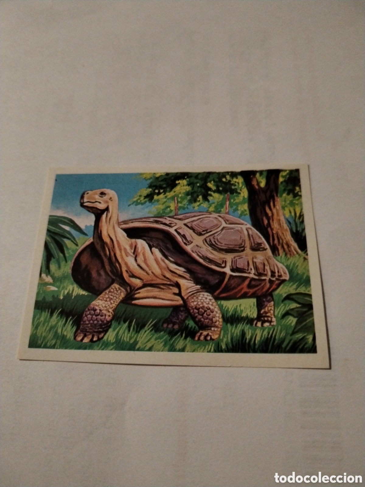 Colecionismo Cromos antigos: Cromo chocolates Torras sin pegar el m&aacute;s y el menos n&deg;57