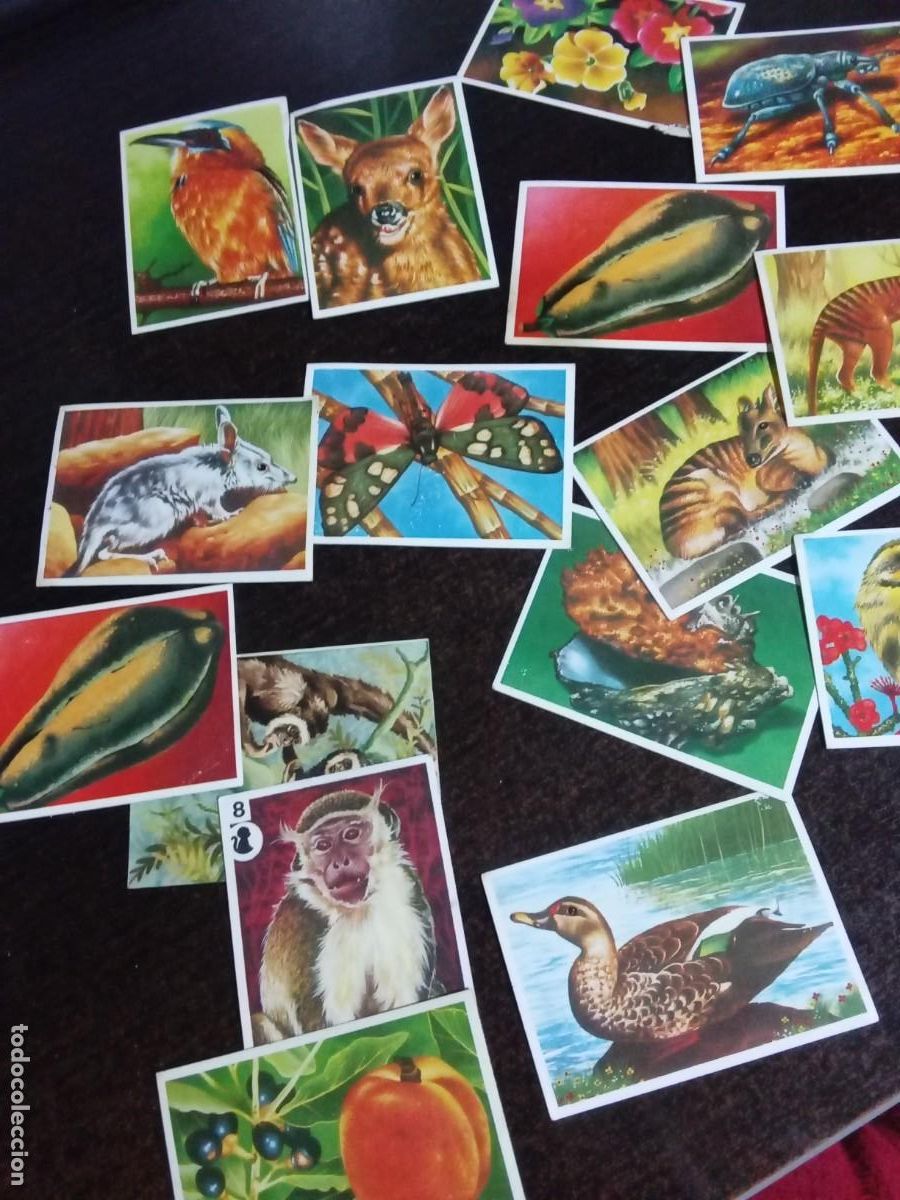 Coleccionismo cromos antiguos: Panorama.Cromos de animales. - Foto 1