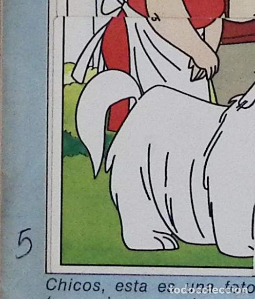 Coleccionismo cromos antiguos: DANIEL EL TRAVIESO PANINI CROMO N 5 - Foto 1
