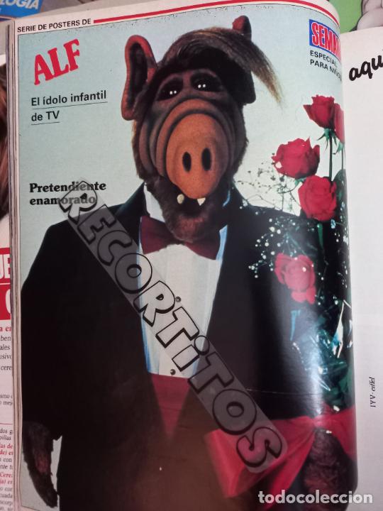 Coleccionismo cromos antiguos: MINI POSTER ALF - Foto 1