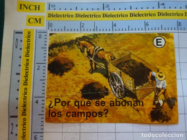 Colecionismo Cromos antigos: CROMO CROMITO. BIMBO EL PORQUE DE LAS COSAS N&ordm;1 81. 120