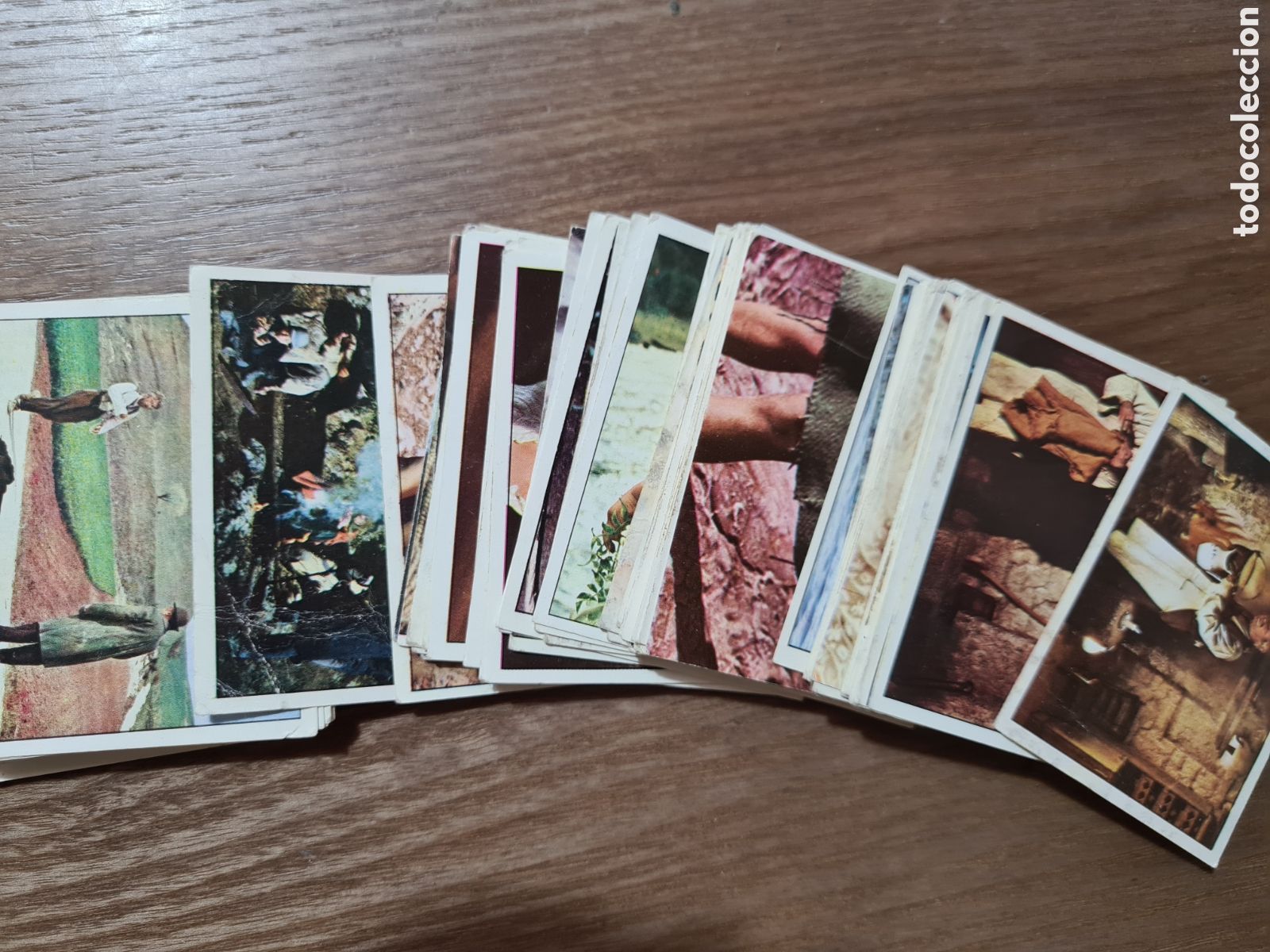 Coleccionismo Cromos antiguos: LOTE CROMOS LAS AVENTURAS DE PINOCHO - PANINI