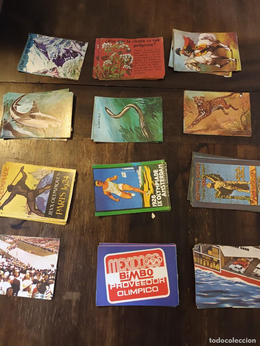 Coleccionismo cromos antiguos: CROMOS EL PORQUE DE LAS COSAS 2 (BIMBO) - Foto 2