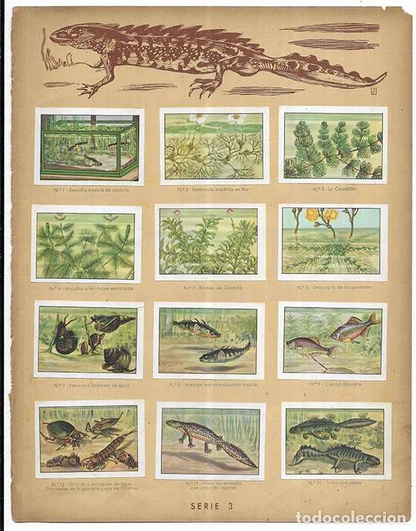 Coleccionismo cromos antiguos: Cromo. Un Lago en un vaso de agua. Serie 3 Curiosidades del Universo Nestl&eacute; 12 cromos Comple