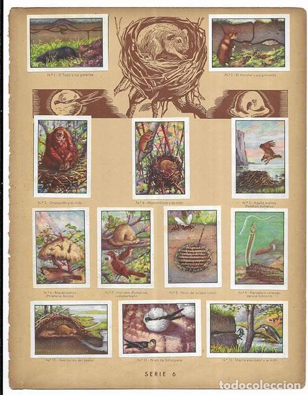 Coleccionismo cromos antiguos: Cromo. Albergues de Animales. Serie 6 Curiosidades del Universo Nestl&eacute; 12 cromos Completa