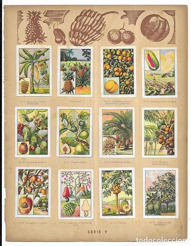 Coleccionismo cromos antiguos: Cromo. Frutos Tropicales. Serie 9 Curiosidades del Universo Nestl&eacute; 12 cromos Completa