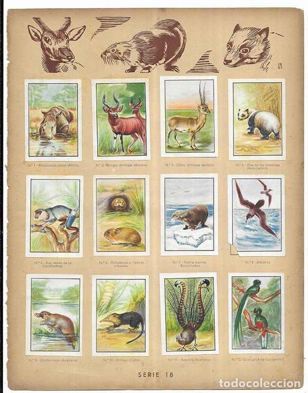 Coleccionismo cromos antiguos: Cromo. Animales que no se encuentran en los Jardines Zool&oacute;gicos. Serie 18 Curiosidades del Univers