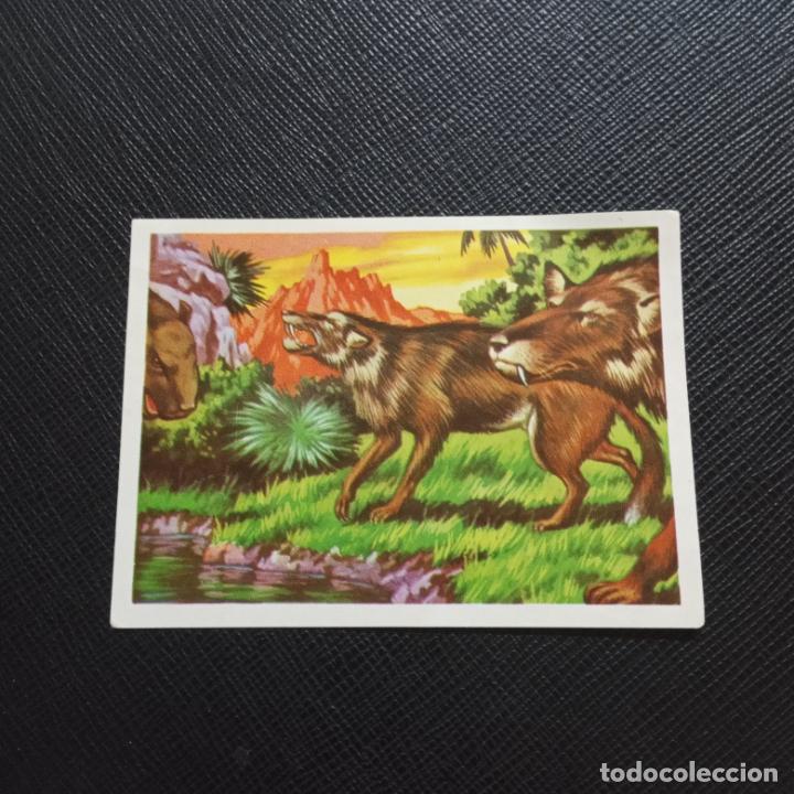 Coleccionismo cromos antiguos: HACE MILLONES DE A&Ntilde;OS RUIZ ROMERO - CC6 - SIN PEGAR - SB6 - 114