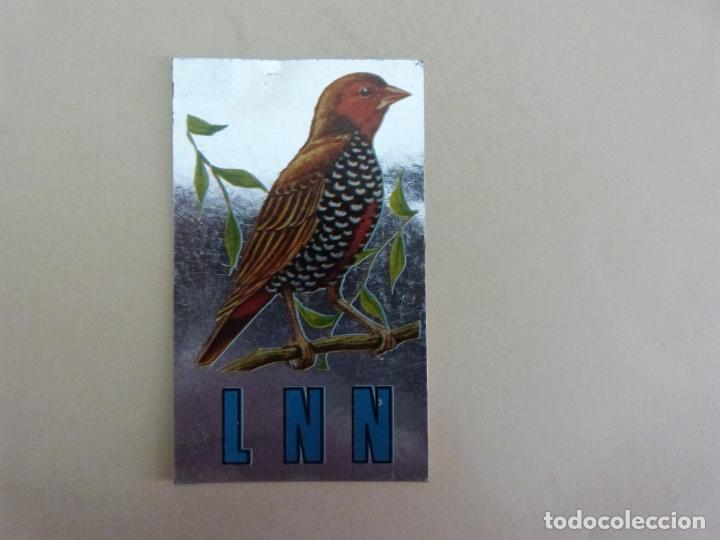 Collezionismo Figurine antiche: CROMO DE TRAJES TIPICOS DE MAGA SIN PEGAR PAJARO PLATEADO N&ordm; 252 A&Ntilde;O 1977 DEL ALBUM TRAJES TIPICOS