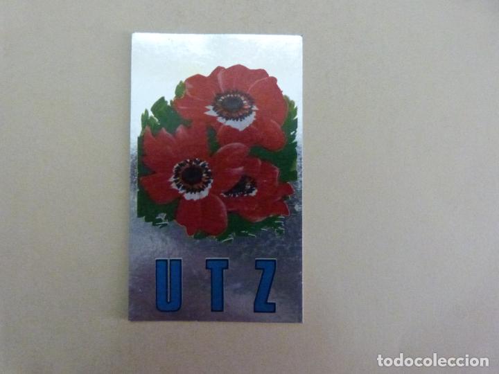 Collezionismo Figurine antiche: CROMO DE TRAJES TIPICOS DE MAGA SIN PEGAR FLORES PLATEADO N&ordm; 244 A&Ntilde;O 1977 DEL ALBUM TRAJES TIPICOS