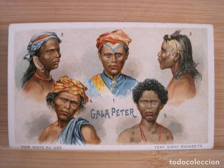 Coleccionismo Cromos antiguos: RAZAS DEL MUNDO-GALA PETER CHOCOLATE-CROMO ANTIGUO-VER FOTOS-(100.579)