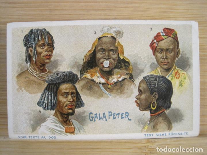 Coleccionismo Cromos antiguos: RAZAS DEL MUNDO-GALA PETER CHOCOLATE-CROMO ANTIGUO-VER FOTOS-(100.580)
