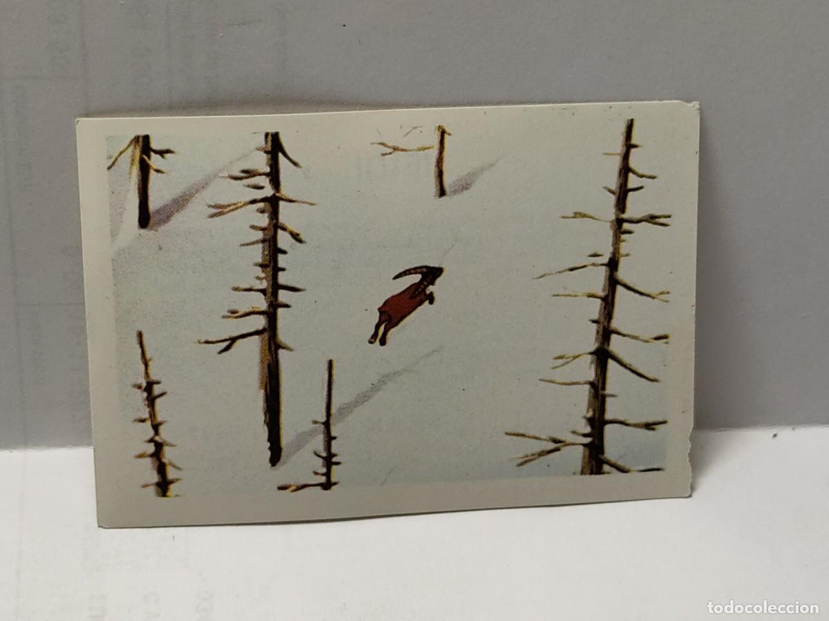 Collectable Antique Stickers: Cromo HEIDI 1975 de EDITORIAL FHER - número 184 no pegado
