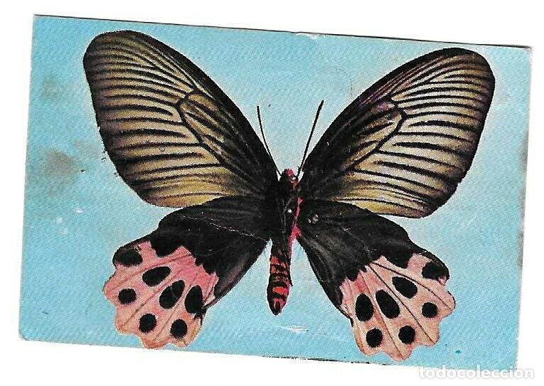 Coleccionismo cromos antiguos: PHOSKITOS -- MARIPOSAS -- N&ordm; 4-7-14 - Foto 1