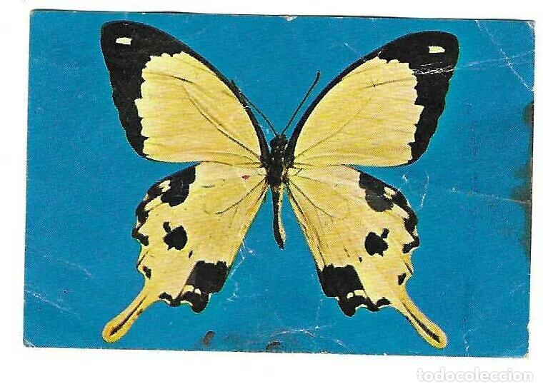 Coleccionismo cromos antiguos: PHOSKITOS -- MARIPOSAS -- N&ordm; 4-7-14 - Foto 3