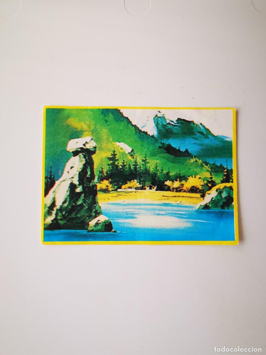 Collectable Antique Stickers: CROMO SIN PEGAR DEL ALBUM SERIE TV JACKY EL OSO DE TALLAC COLECCION DE 94 CROMOS DANONE 79