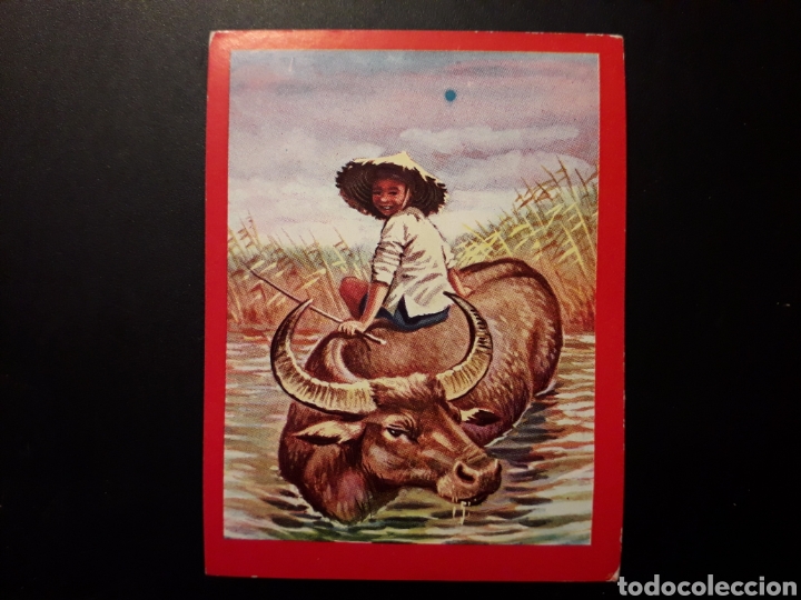 Colecionismo Cromos antigos: INDOCHINA N&deg; 127 PA&Iacute;SES Y COSTUMBRES ED FHER 1967 SIN PEGAR, FOTOS. PEDIDO M&Iacute;NIMO 3&euro;