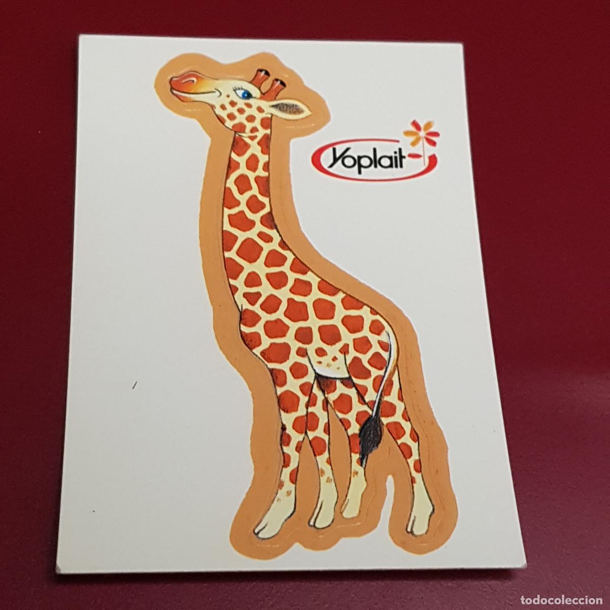 Coleccionismo cromos antiguos: YOPLAIT - JIRAFA - NUNCA PEGADO - Foto 1
