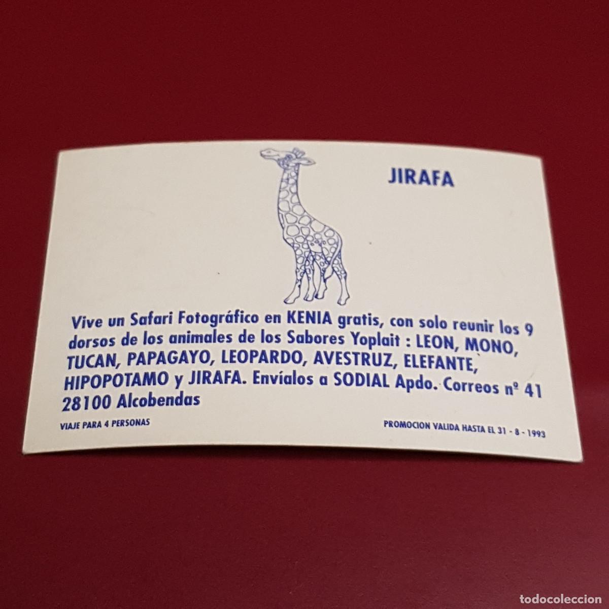 Coleccionismo cromos antiguos: YOPLAIT - JIRAFA - NUNCA PEGADO - Foto 2