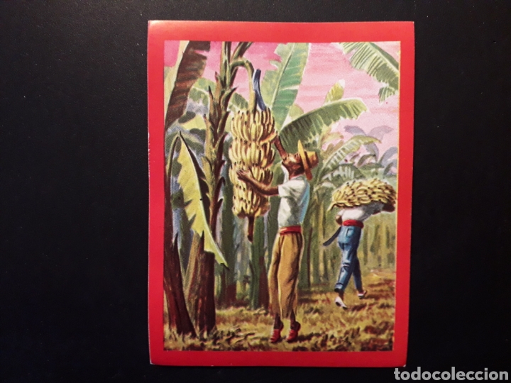 Colecionismo Cromos antigos: ECUADOR N&deg; 267 PA&Iacute;SES Y COSTUMBRES ED FHER 1967 SIN PEGAR, FOTOS. PEDIDO M&Iacute;NIMO 3&euro;