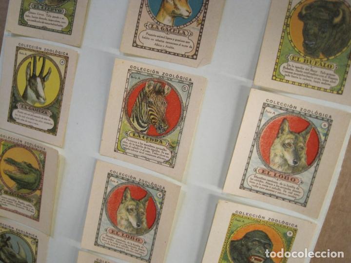 Collezionismo Figurine antiche: COLECCION ZOOLOGICA-COLECCION DE 12 CROMOS ANTIGUOS-VER FOTOS-(K-9208)