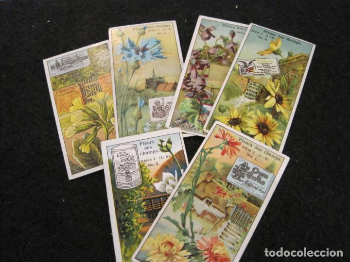 Coleccionismo Cromos antiguos: FLORES-COLECCION DE 6 CROMOS ANTIGUOS-CHOCOLATE TOBLER-VER FOTOS-(K-9318)
