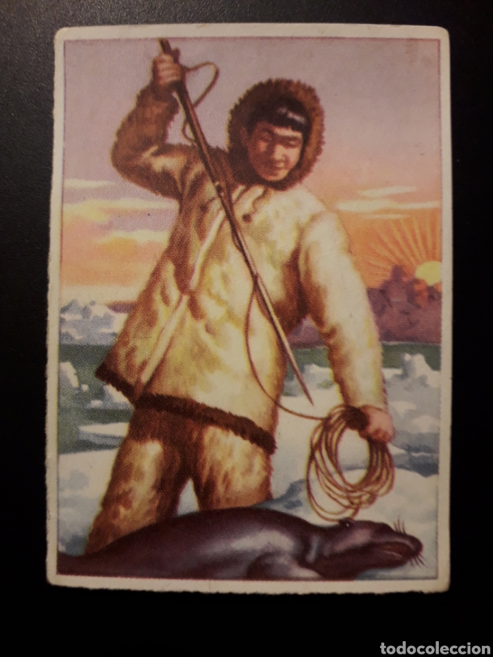 Collectionnisme Cartes &agrave; collectionner anciennes: ESQUIMAL RAZAS HUMANAS N&deg; 84 ED BRUGUERA 1955 (128 CROMOS) SIN PEGAR PEDIDO M&Iacute;NIMO 3&euro;