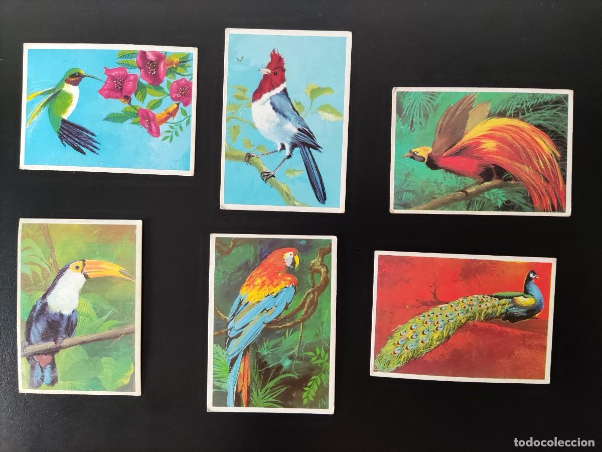 Coleccionismo cromos antiguos: DUNKIN CROMOS - LAS AVES- LOTE DE 6 - Foto 1
