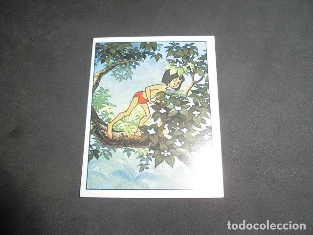 Coleccionismo cromos antiguos: CROMO STICKER DE: EL LIBRO DE LA SELVA - N&ordm; 217 - SIN PEGAR - PANINI 1981. - Foto 1