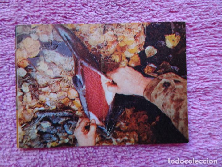 Coleccionismo Cromos antiguos: historia los juegos ol&iacute;mpicos 239 desde olimpia hasta mosc&uacute; 80 ColaCao 1980