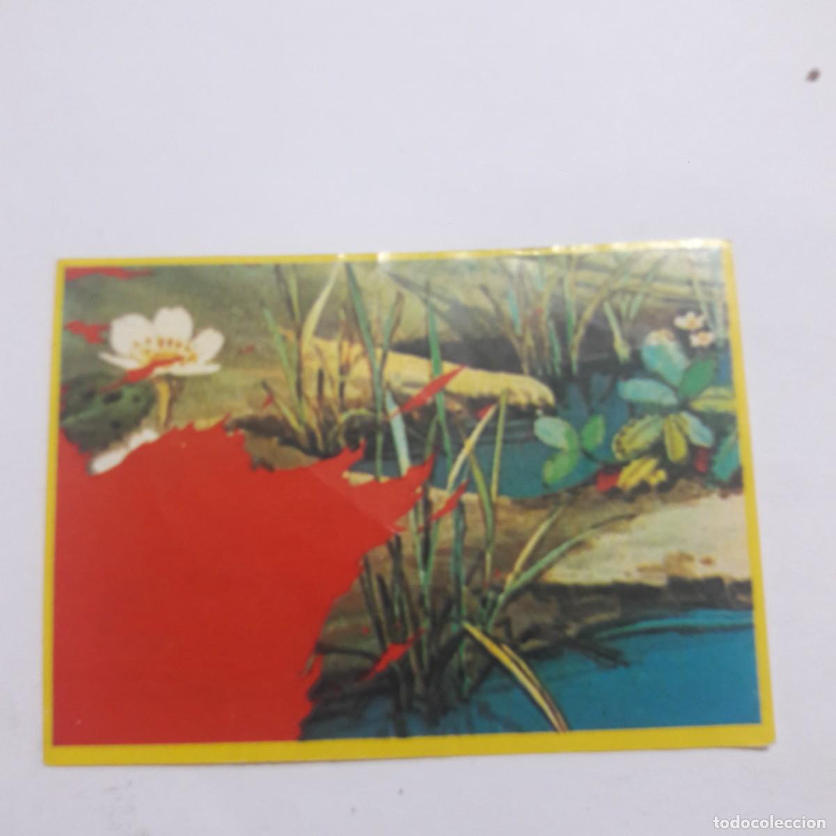 Coleccionismo cromos antiguos: Cromo Danone Abeja Maya n 90 - Foto 1
