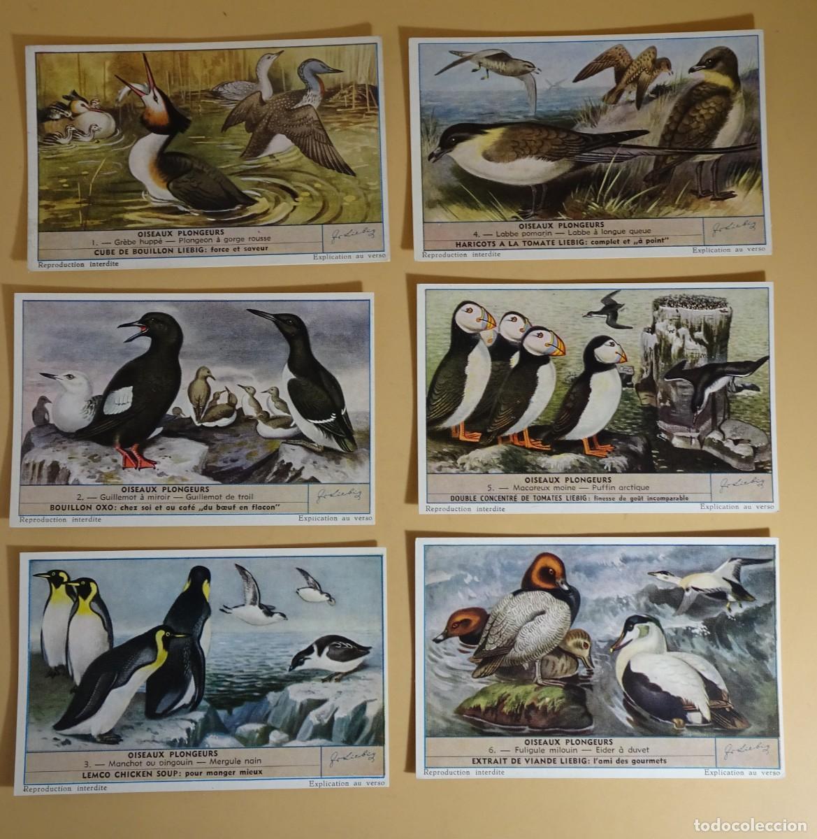 Colecionismo Cromos antigos: ANTIGUOS CROMOS LIEBIG SERIE DE 6, OISEAUX PLONGEURS, AVES BUCEADORAS, VER FOTOS