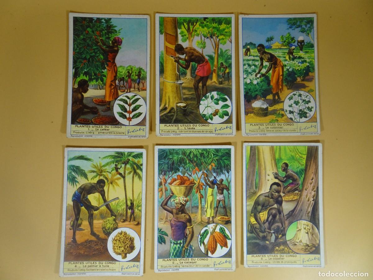 Collectable Antique Stickers: ANTIGUOS CROMOS LIEBIG SERIE DE 6, PLANTES UTILES DU CONGO, VER FOTOS